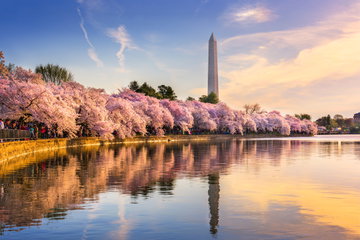 Washington DC to Nashville - Monuments, Mountains & Moonshine