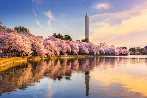 Washington DC to Nashville - Monuments, Mountains & Moonshine