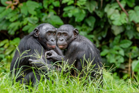 Private Safari holidays