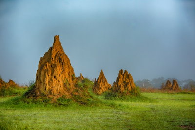 Republic of the Congo