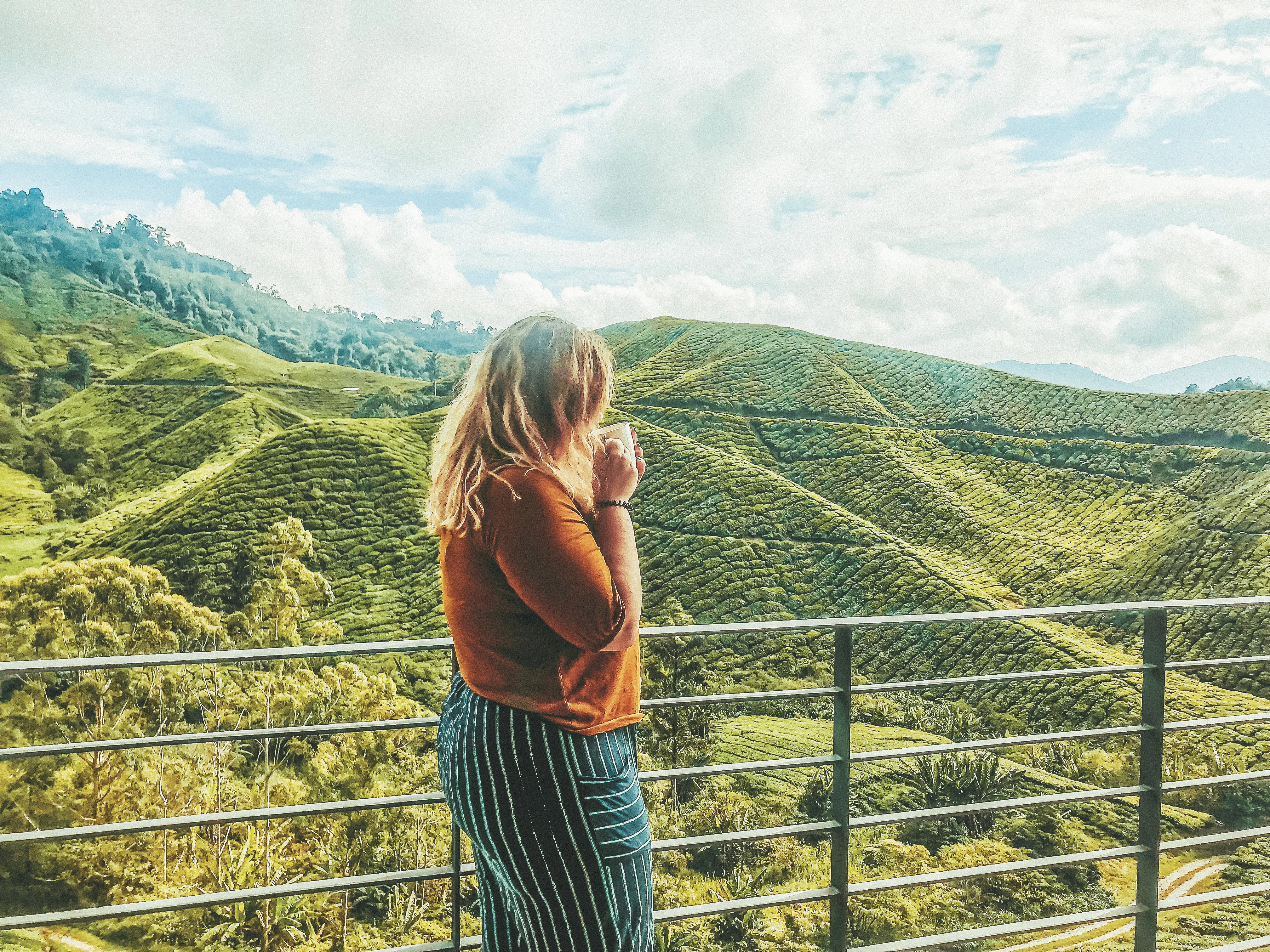 A lady looks out over the rolling green hills of the Cameroon Highlights on a bright morning in Malaysia