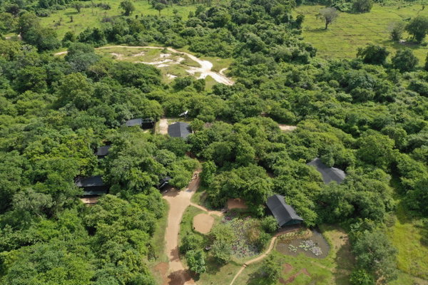 Leopard Trails Wilpattu