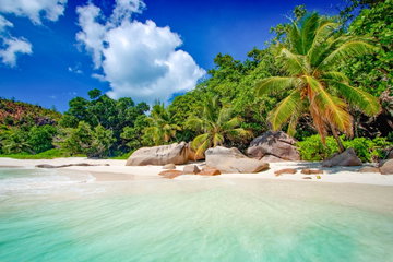 Beautiful greenery and granite boulders on Paradise beach, Praslin, Seychelles