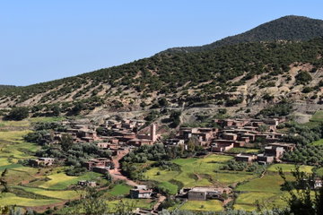 Private High Atlas Mountains Half Day Trek