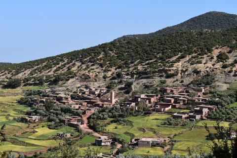 Private High Atlas Mountains Half Day Trek