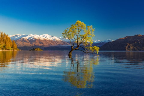 New Zealand Guided Group Journeys