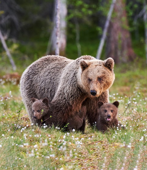 Guided Small Group Adventure Touring holidays