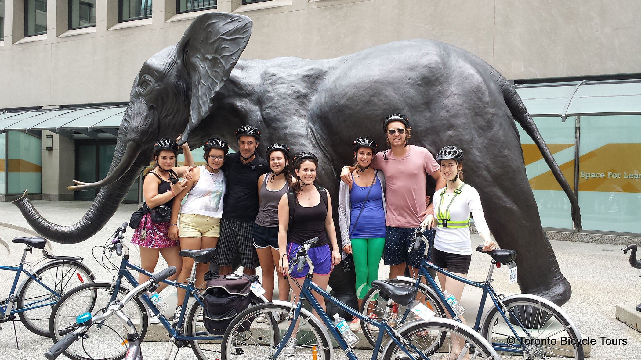 image gallery image gallery