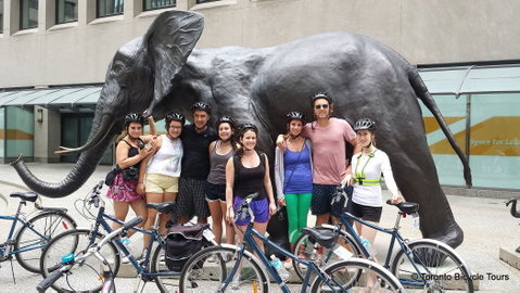 Toronto Downtown Bicycle Tour