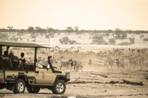 Botswana in Depth & Victoria Falls