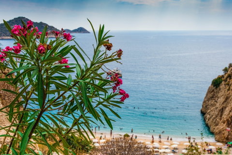 Multi Centre Holidays holidays