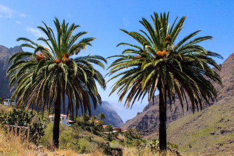 Tenerife