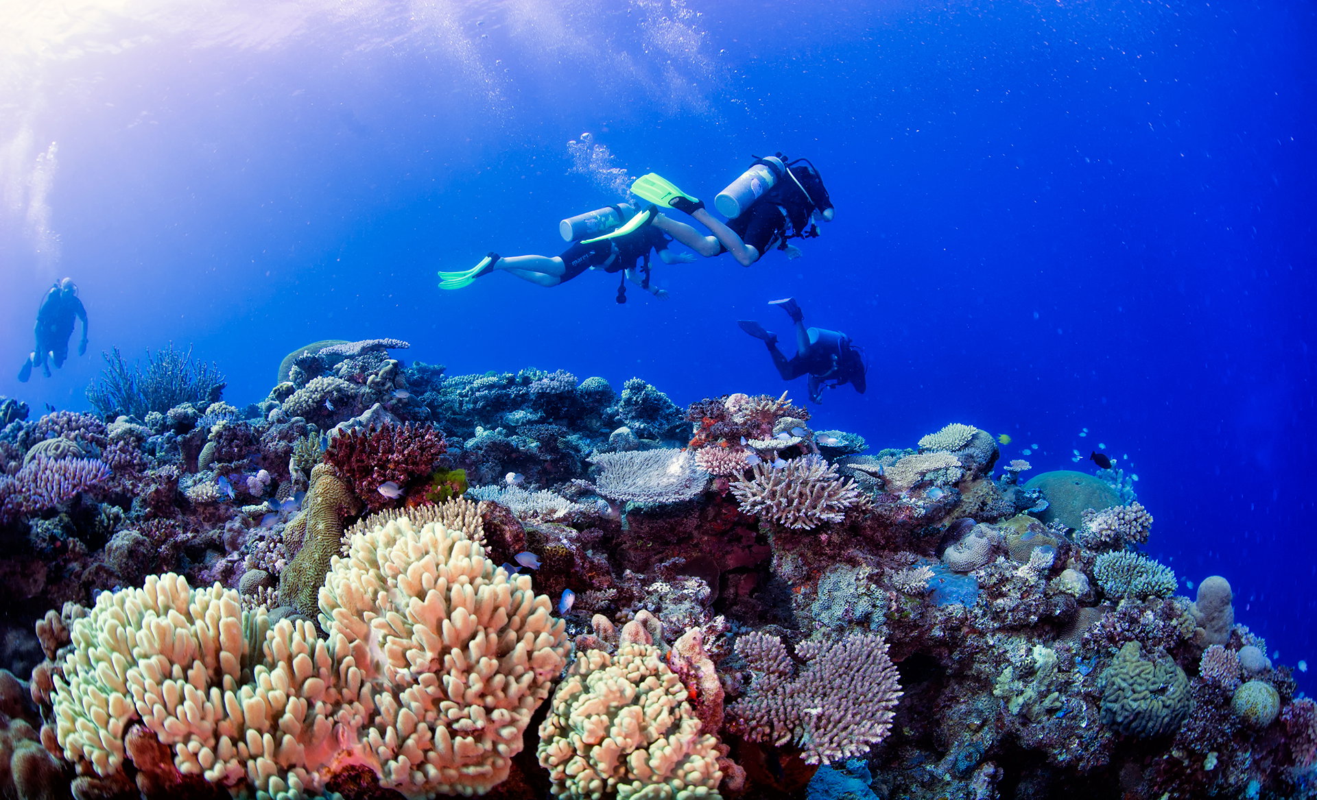 Four scuba divers float above a colourful coral reef in deep blue waters of Fiji