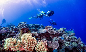 Learn to Dive in Fiji - Open Water Course