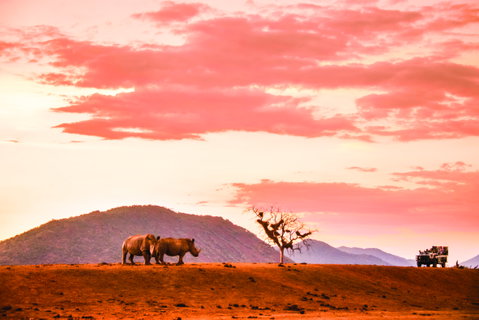Gap Year & Student Travel holidays
