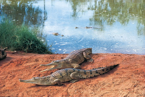 Gibb River Road