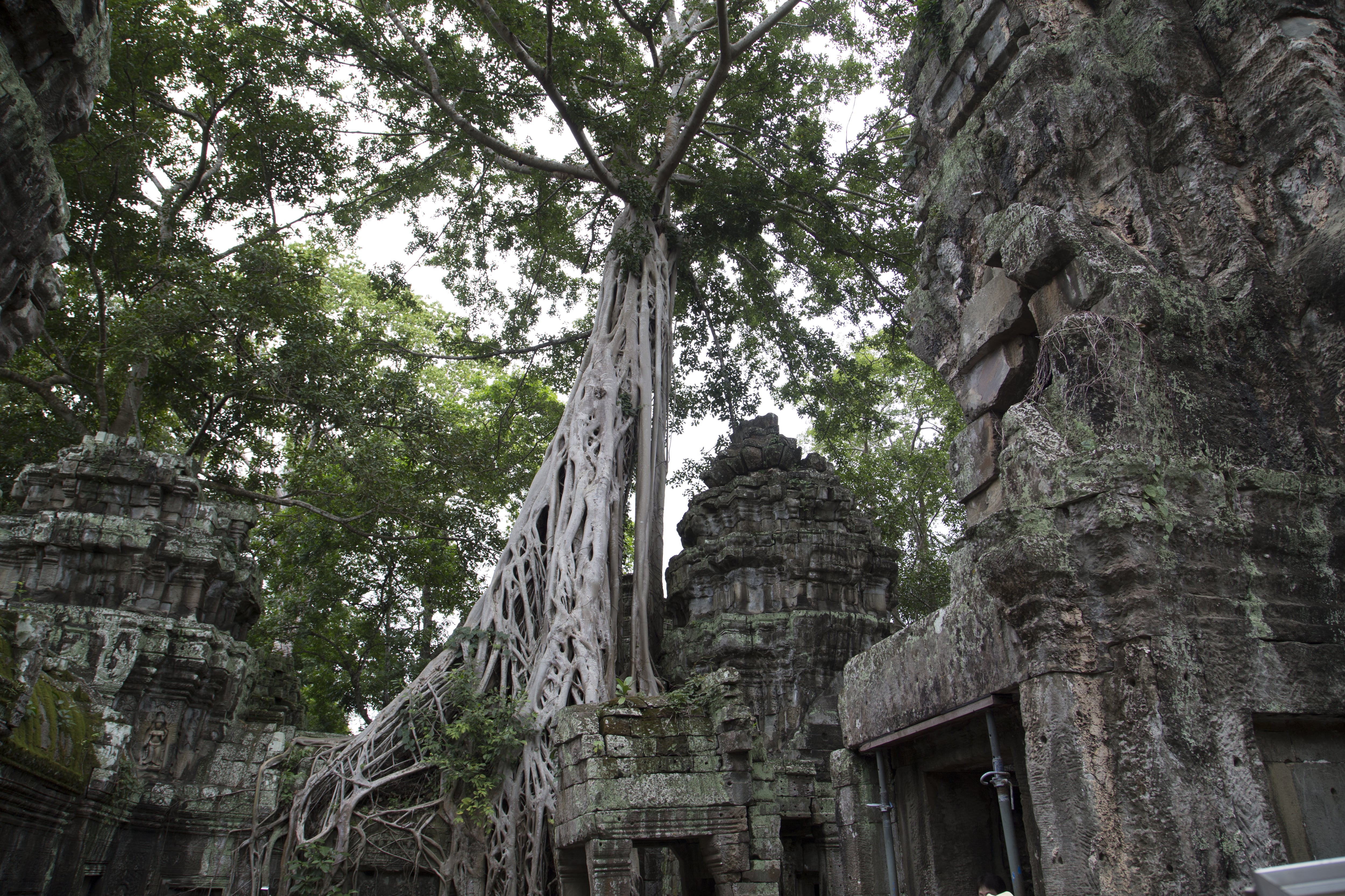 Tour image