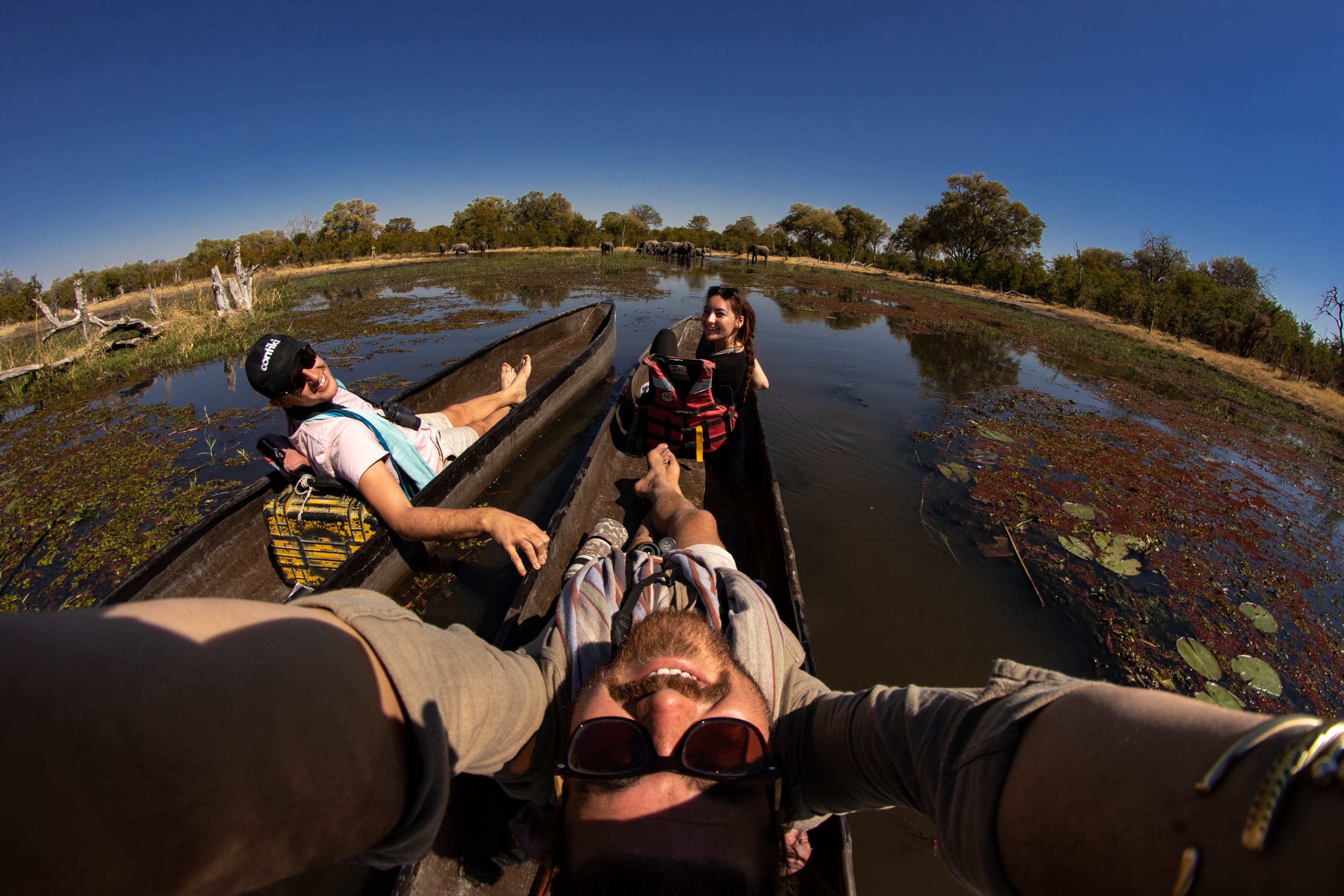 A young traveller leans backwards out of a mokoro canoe to take a selfie of himself, other travellers and elephants in the Okavango delta.