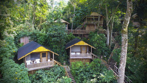 Tulia Buhoma Lodge