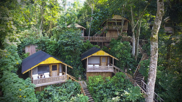 Tulia Buhoma Lodge