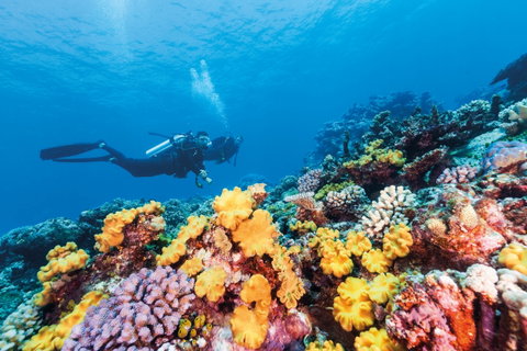The Northern Great Barrier Reef
