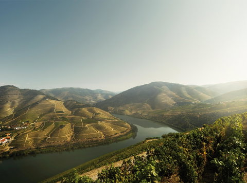 Douro Valley