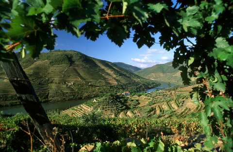 Porto and The Douro Valley with Villa