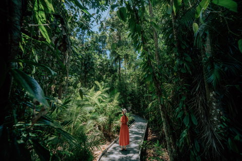 The Daintree
