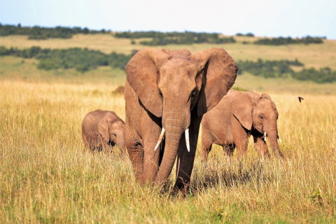 Guided Group Journeys for Solo Travellers holidays