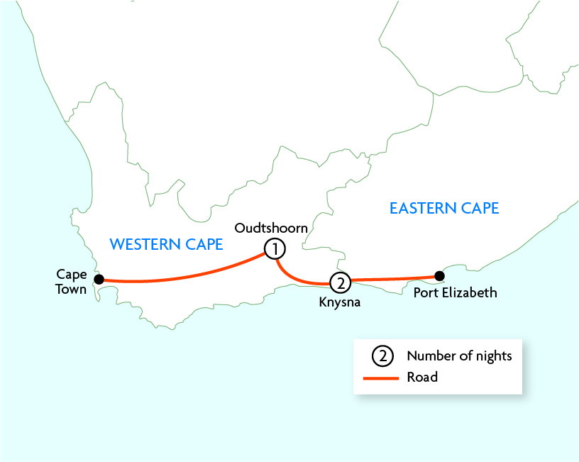 Garden Route Uncovered