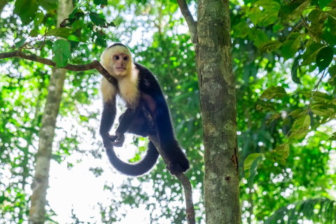 Costa Rica Family Holiday