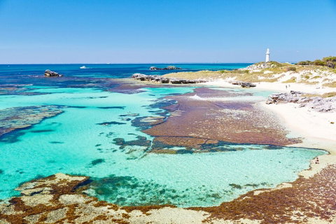 Rottnest Grand Island Tour