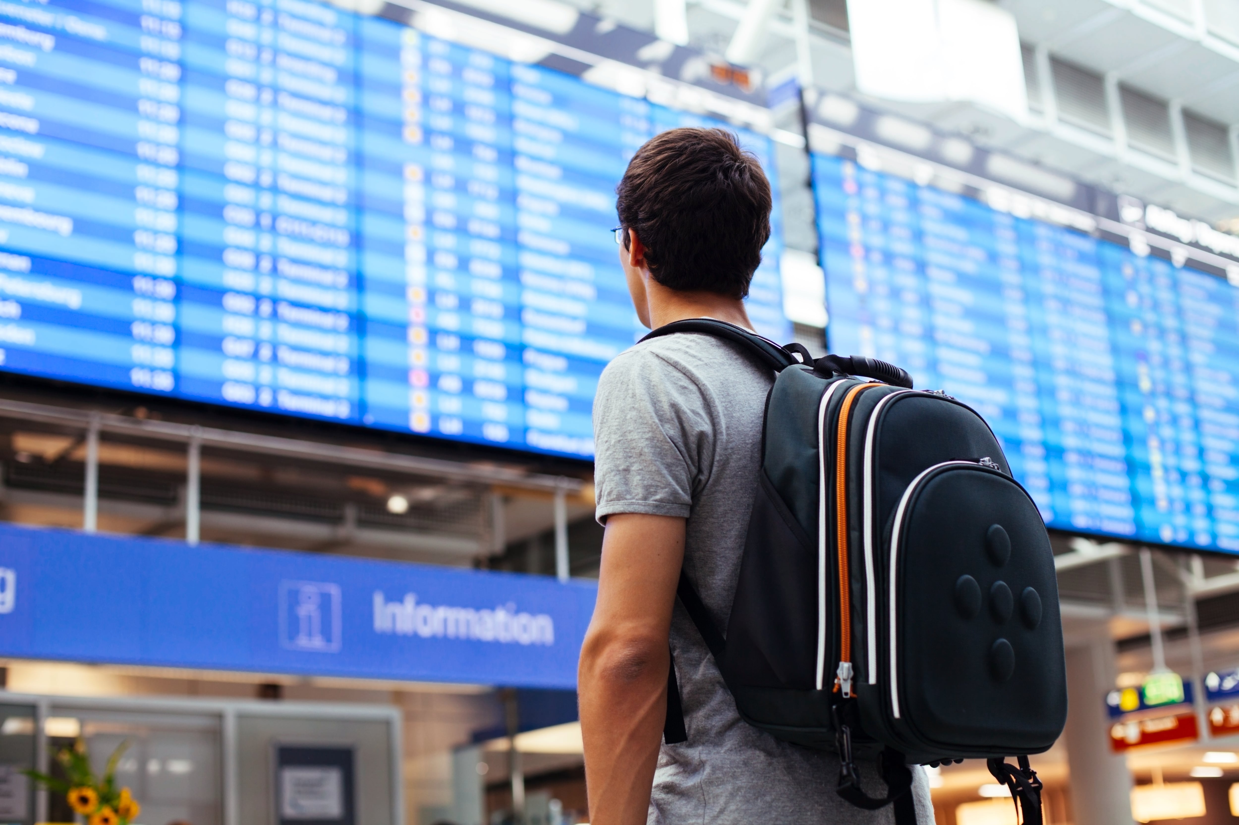 Man observing airline schedule