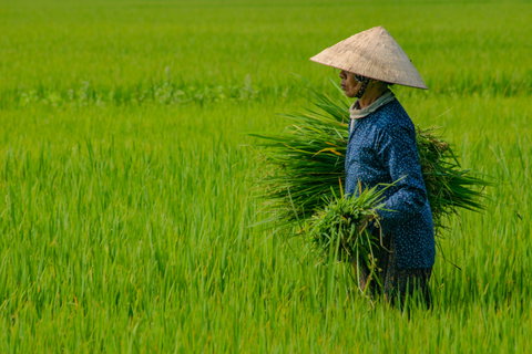 Vietnam