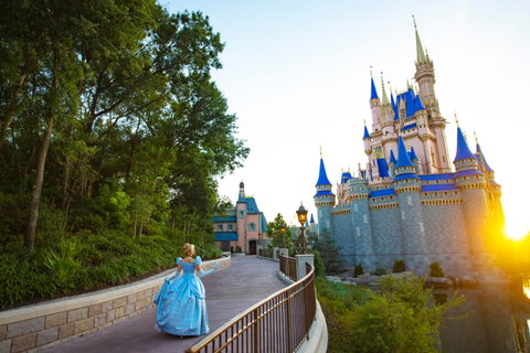 Walt Disney World Resort