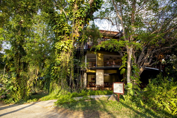 Bosque del Mar, Papagayo Peninsula