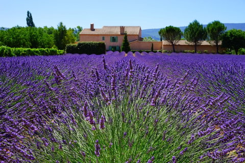 Provence
