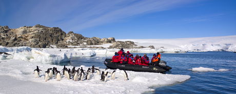 Expedition Cruises