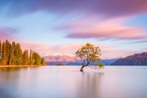 New Zealand & The Pacific Multi Centre Holidays