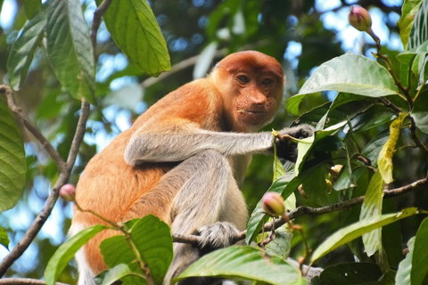 Guided Small Group Adventure Touring holidays