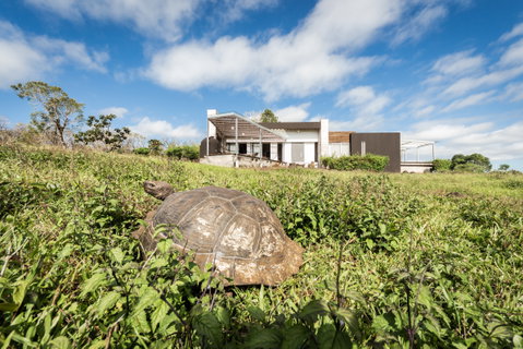 Montemar Eco Luxury Villas