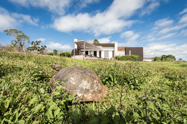 Montemar Eco Luxury Villas