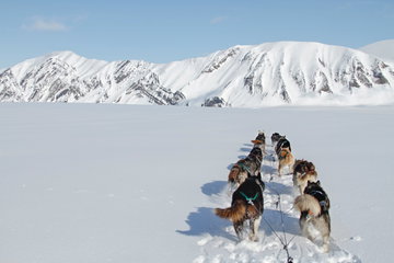 Seasons of Svalbard - Sunny Winter