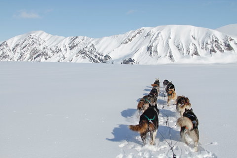 Seasons of Svalbard - Sunny Winter