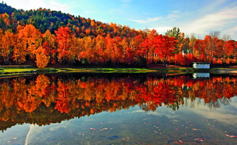 New England's Fall Foliage - Insight