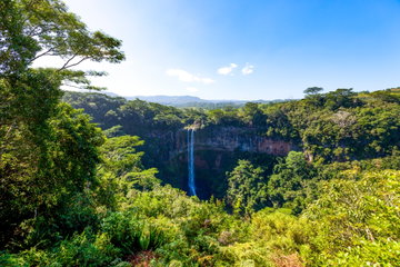 Private Wild South Tour