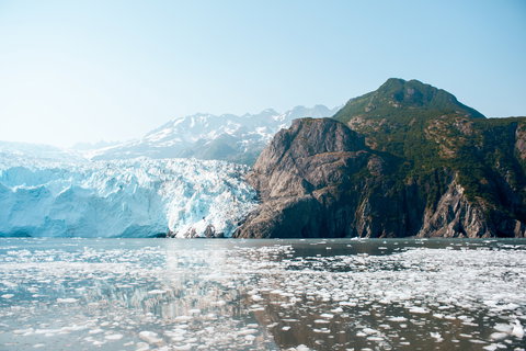 Kenai Fjords Cruise
