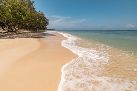 Isla Barú