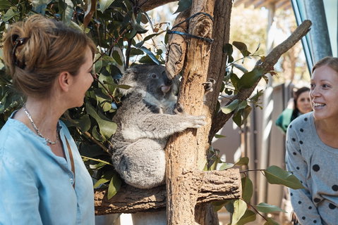 Taronga Wild Australia Experience
