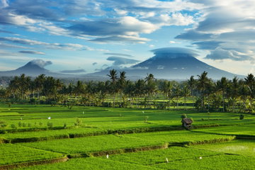 Storm clouds clearing over the volcanic peak of Gunnung Anung and the rice fields, near Ubud at dawn, Bali, Indonesia